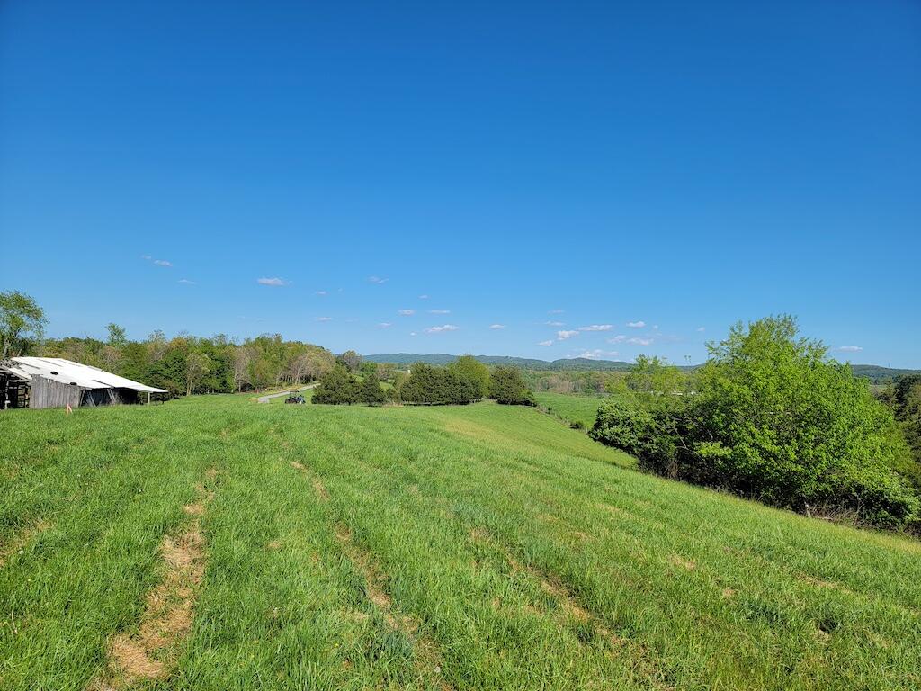 Lot 4 Fairview Church Road Riner, VA 24149 - Photo 5 of 30 a view of a lush green outdoor space with a lake view