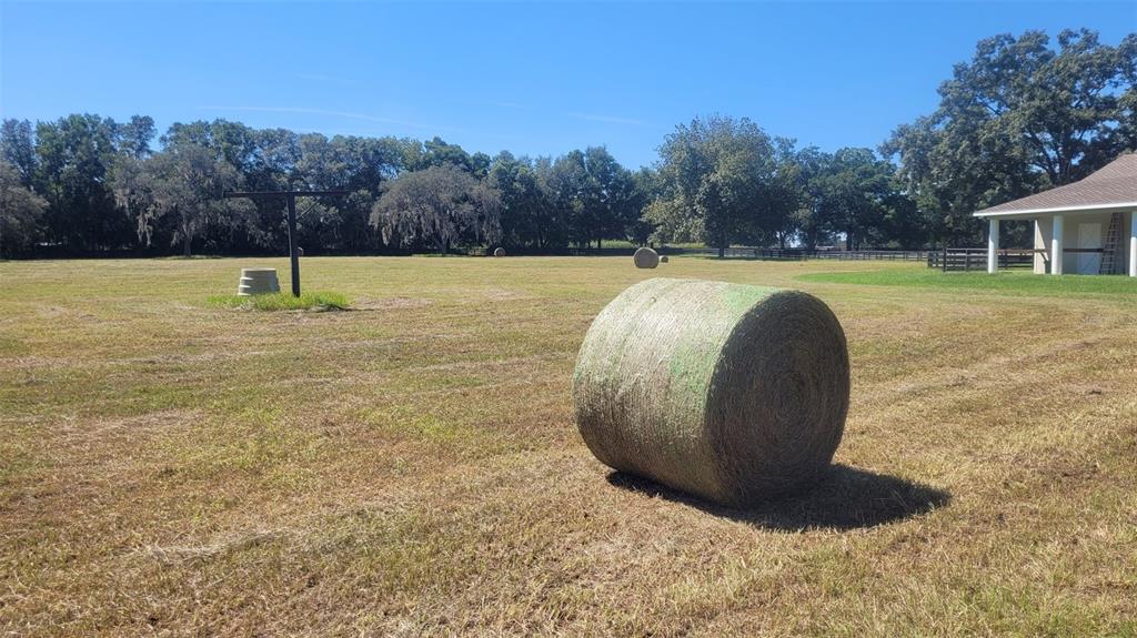1198 Southwest 104th Street Road Ocala, FL 34476 - Photo 91 of 93