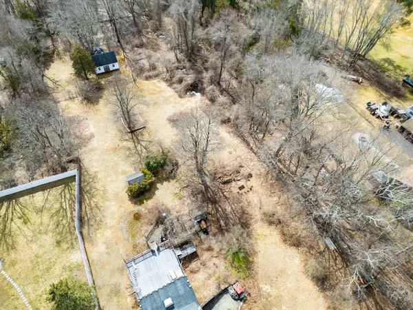 a view of a dry yard with a tree