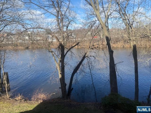 712 River Renaissance, Unit A12 East Rutherford, NJ 07073 - Photo 30 of 31