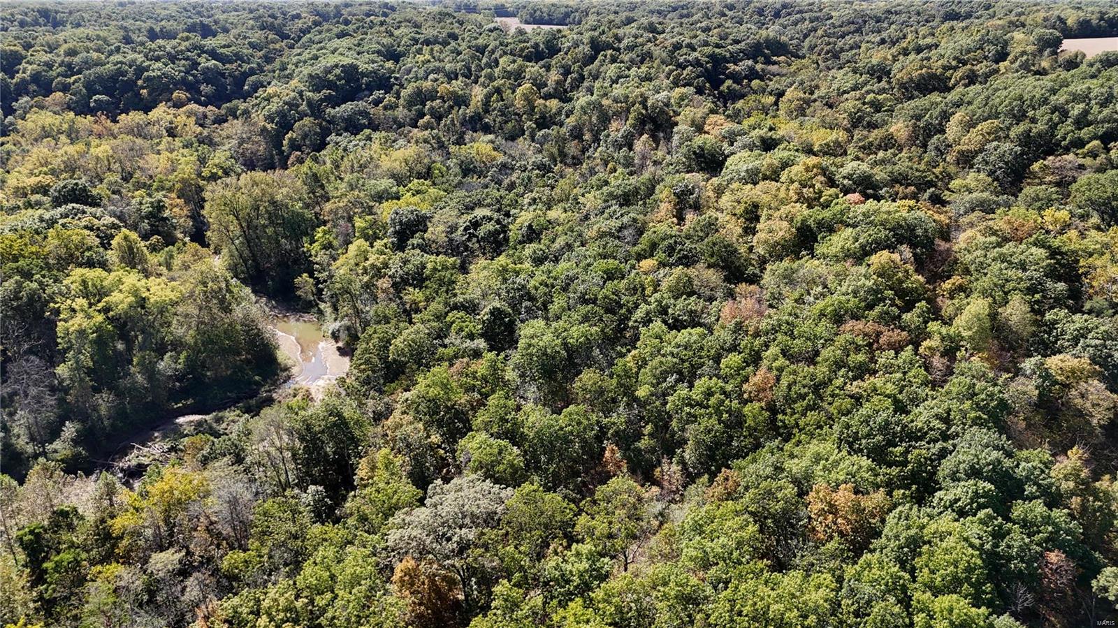 0 South Rock Quarry Road Frederick, IL 62639 - Photo 12 of 15
