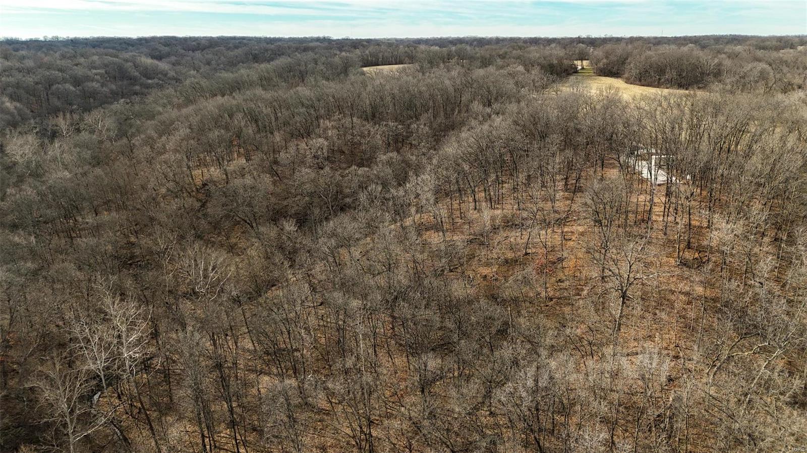 0 South Rock Quarry Road Frederick, IL 62639 - Photo 6 of 15