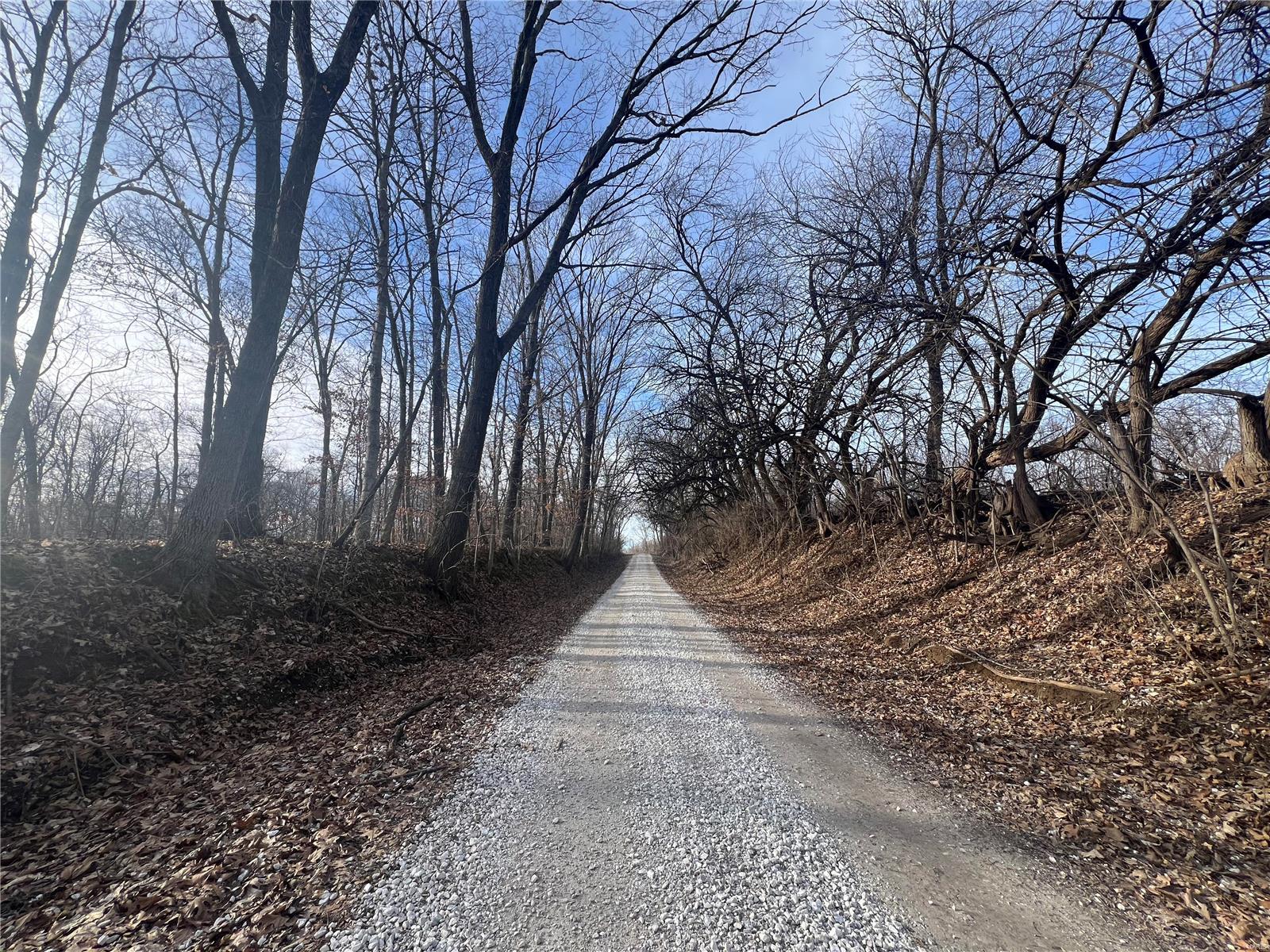 0 South Rock Quarry Road Frederick, IL 62639 - Photo 10 of 15