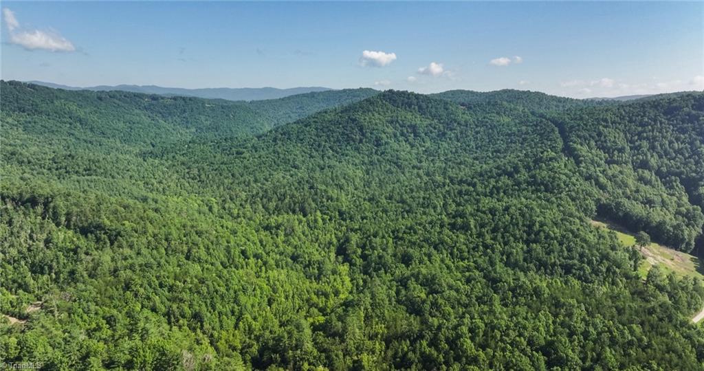 0 Boone Trail Purlear, NC 28665 - Photo 16 of 40 Gallery Image 16
