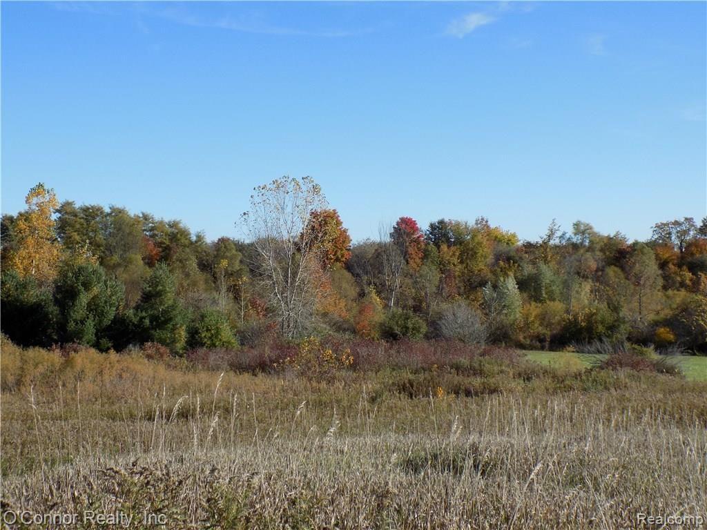 0 Burtch Road Jeddo, MI 48032 - Photo 3 of 5