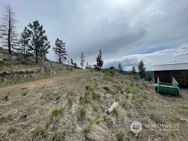 67 Blue Creek Road Riverside, WA 98849 - Photo 11 of 23 Gallery Image 11