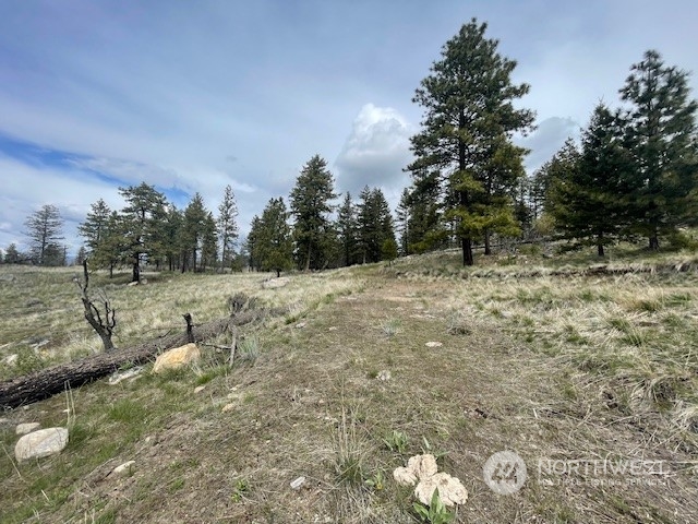 67 Blue Creek Road Riverside, WA 98849 - Photo 12 of 23 Gallery Image 12