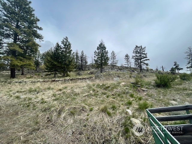 67 Blue Creek Road Riverside, WA 98849 - Photo 13 of 23 Gallery Image 13