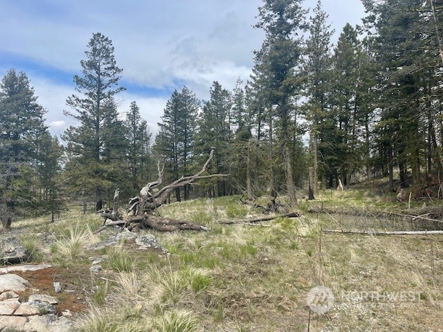67 Blue Creek Road Riverside, WA 98849 - Photo 16 of 23 Gallery Image 16