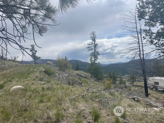 67 Blue Creek Road Riverside, WA 98849 - Photo 6 of 23 Gallery Image 6