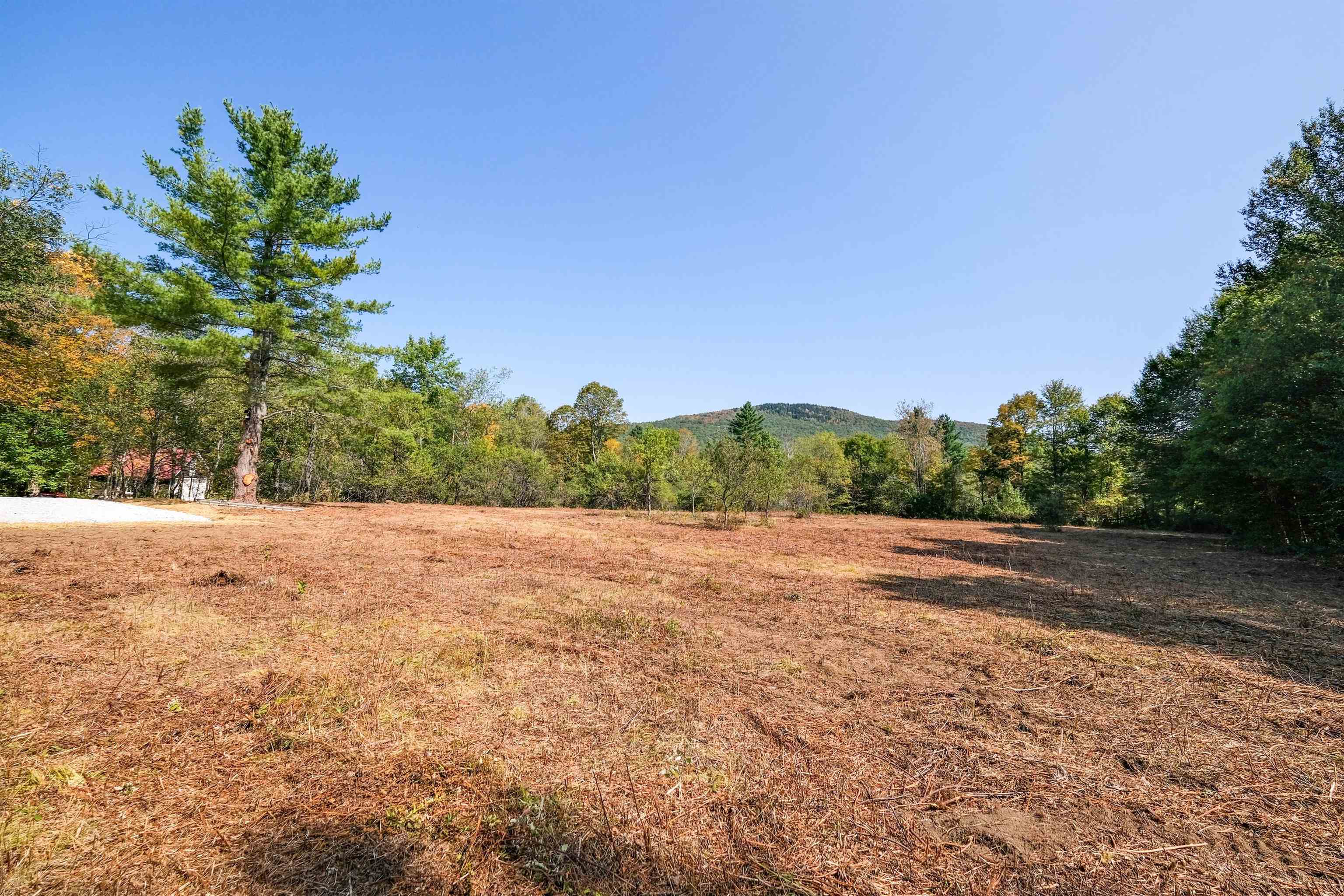 525 Station Road, Unit 2 Mount Holly, VT 05758 - Photo 3 of 20