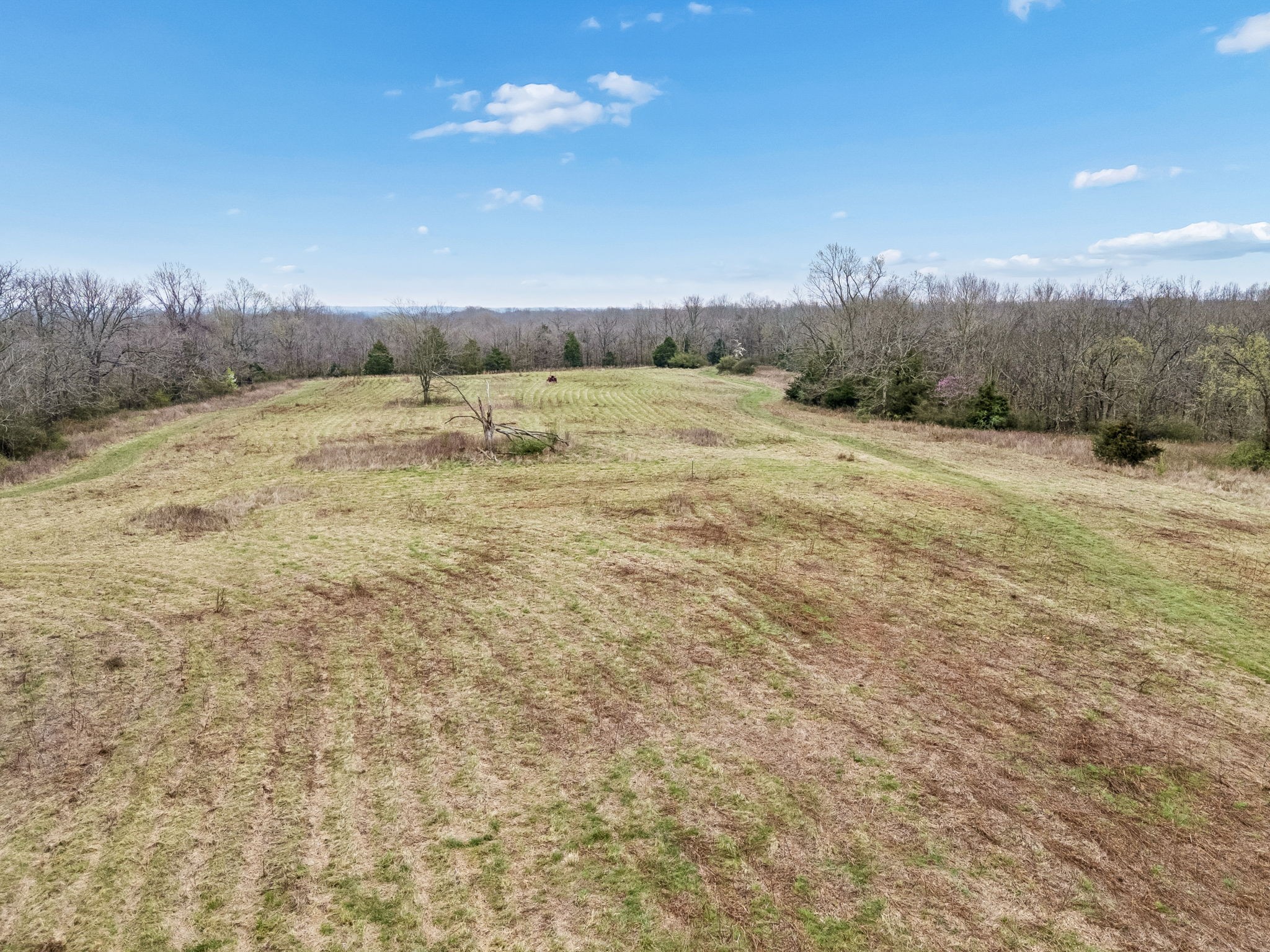 4094 Akin Ridge Road Williamsport, TN 38487 - Photo 9 of 94 Gallery Image 9