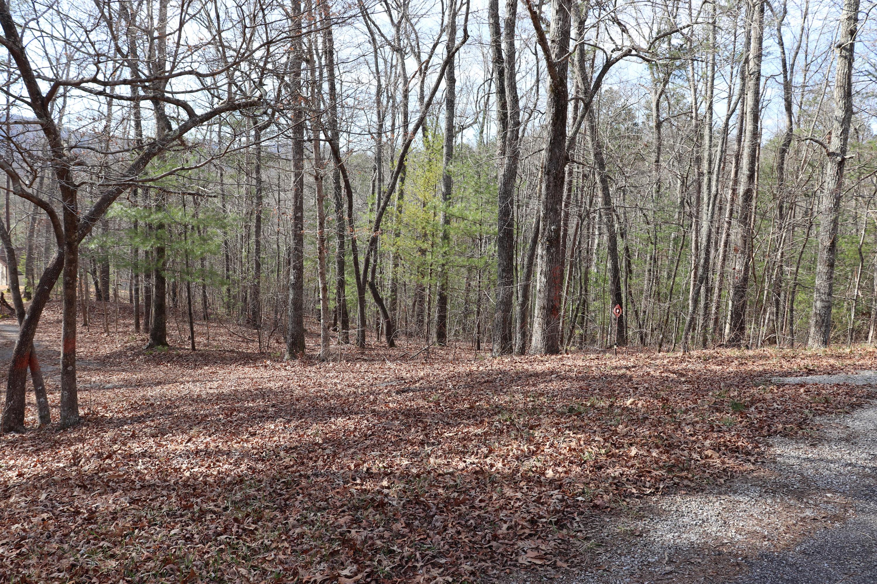 522 Cooper Hollow Road Tellico Plains, TN 37385 - Photo 1 of 3 IMG_1901 (2)