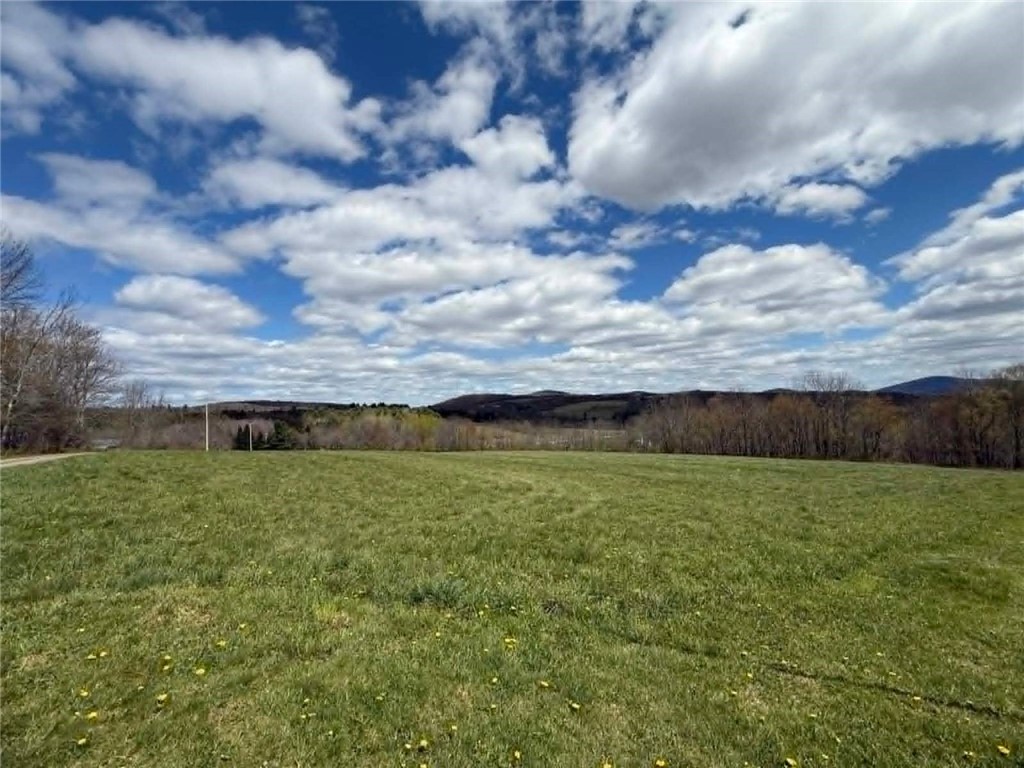 372 Windsong Road Harpersfield, NY 13786 - Photo 20 of 23