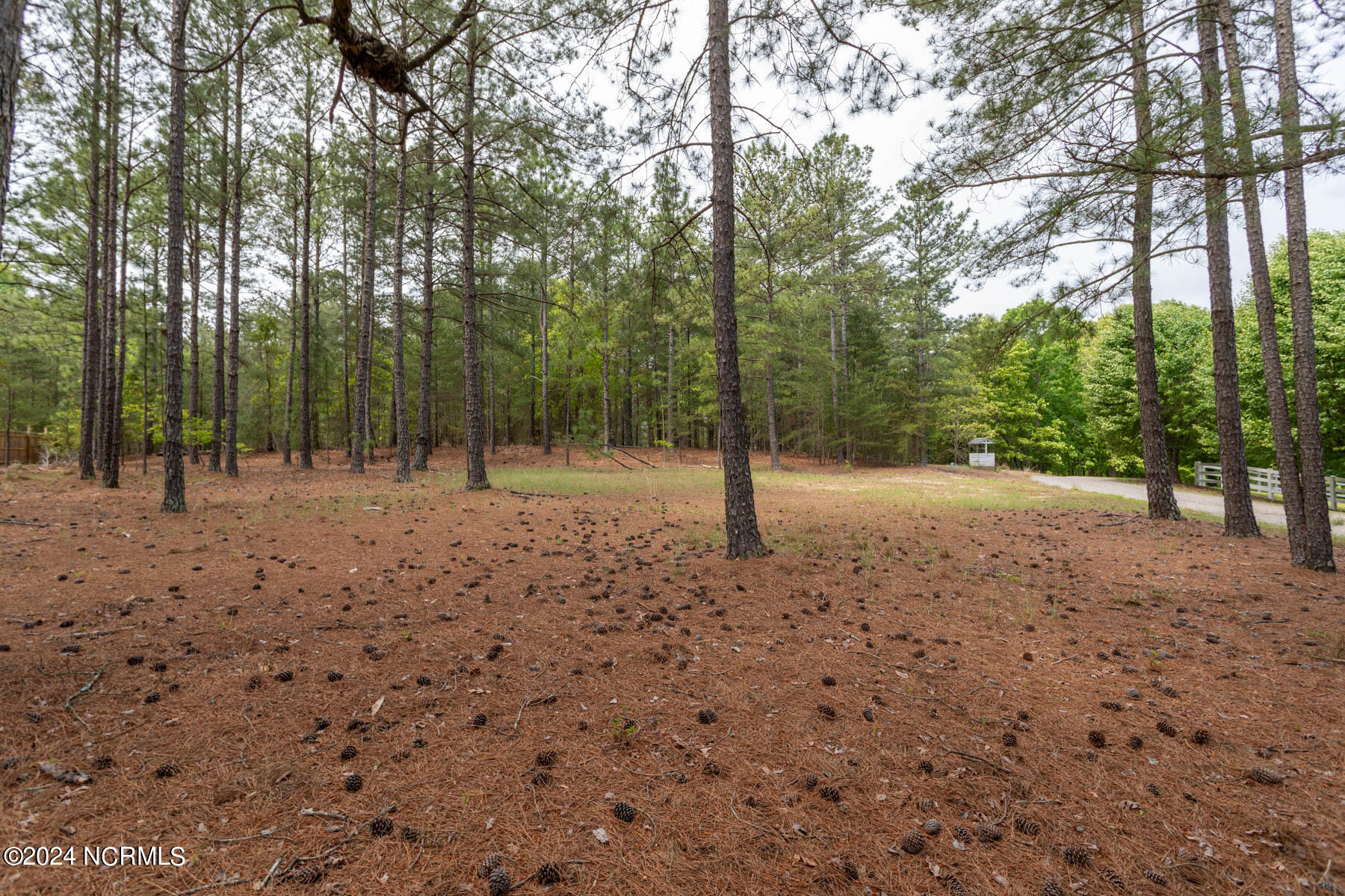Tbd Shagbark Road West End, NC 27376 - Photo 2 of 7 TBD Shagbark Ct-3