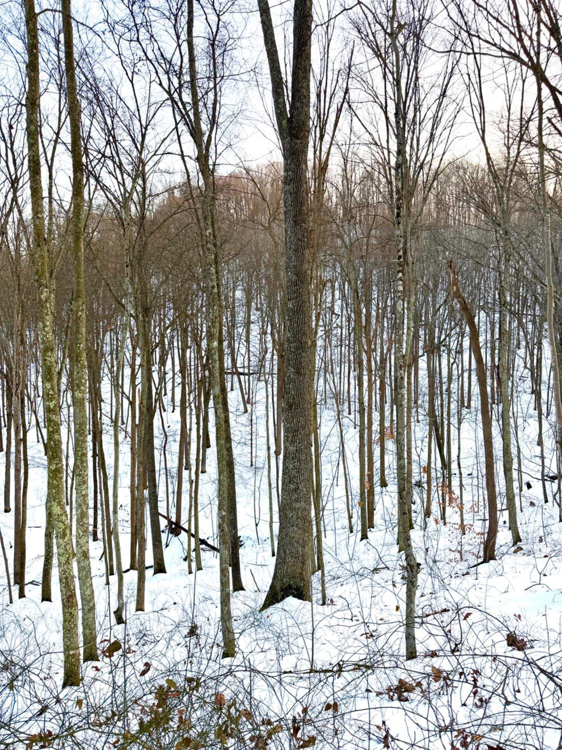 0 Carrs Run Beaver, OH 45613 - Photo 45 of 66