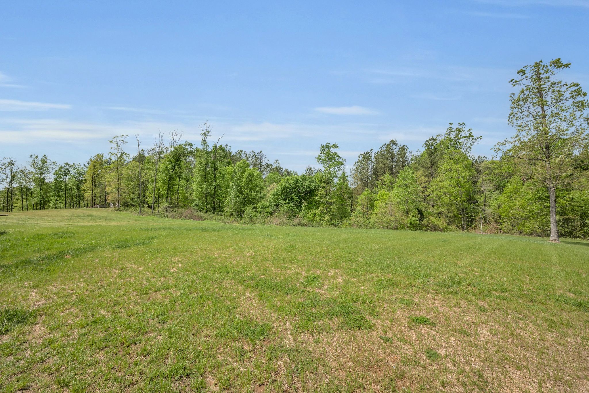 520 Young Road Waverly, TN 37185 - Photo 52 of 64