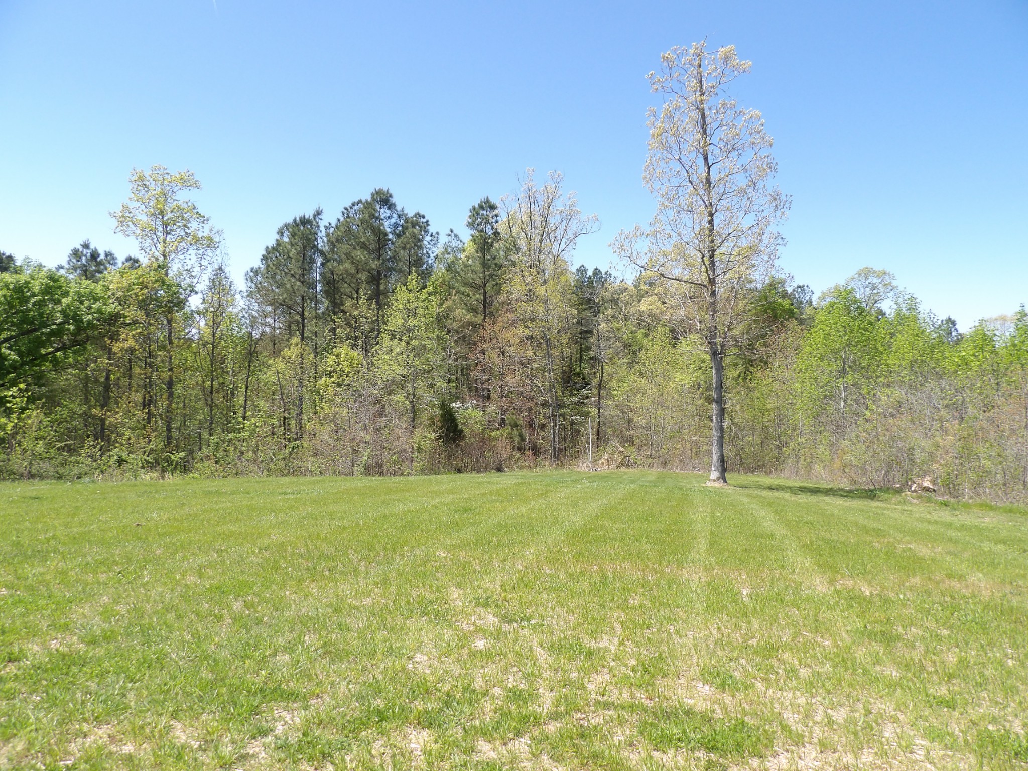 520 Young Road Waverly, TN 37185 - Photo 8 of 64