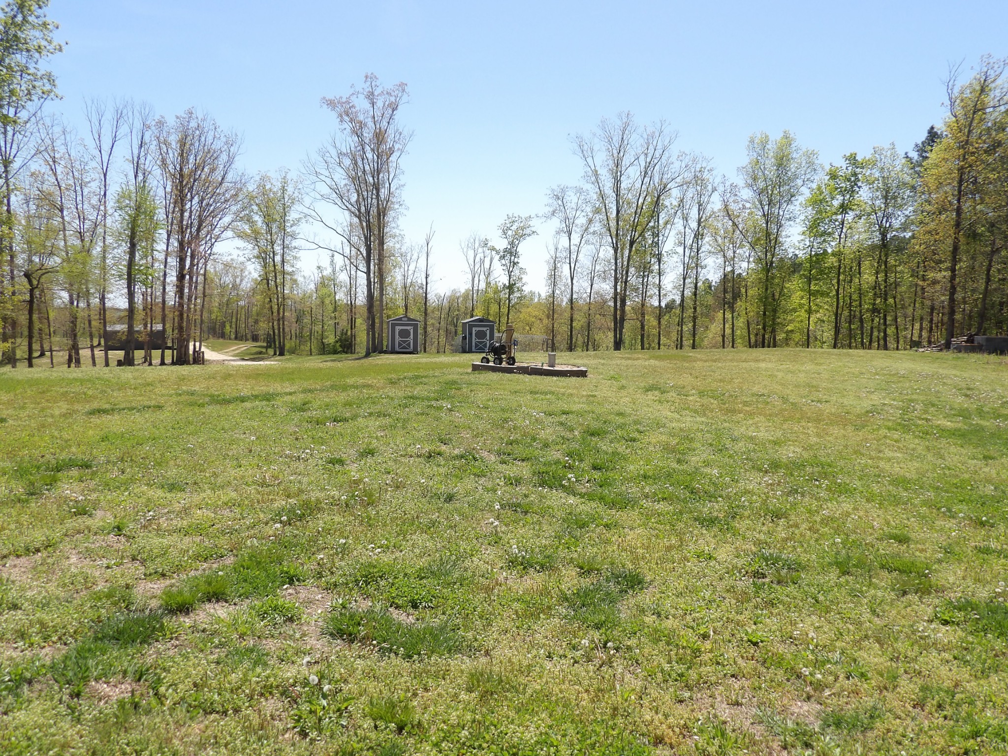 520 Young Road Waverly, TN 37185 - Photo 9 of 64