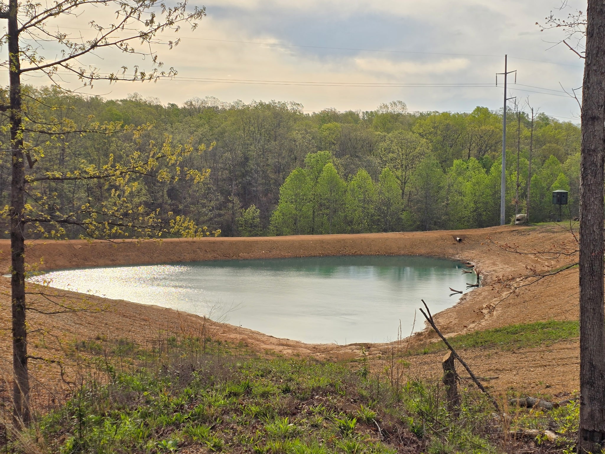 520 Young Road Waverly, TN 37185 - Photo 10 of 64