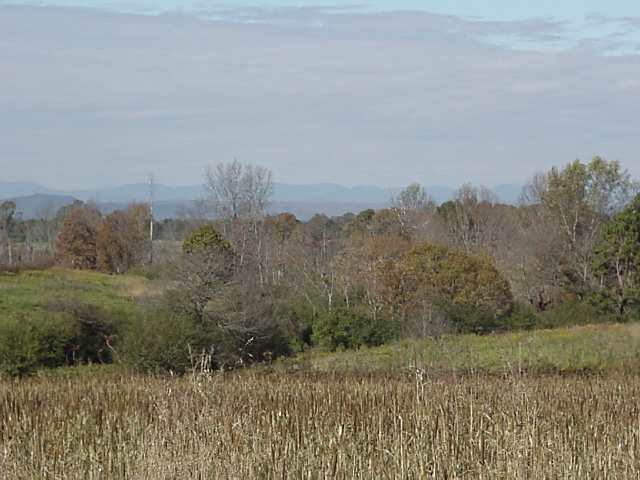 0 Return Church Road, Unit TRACT 5 Seneca, SC 29678 - Photo 2 of 3 Gallery Image 2