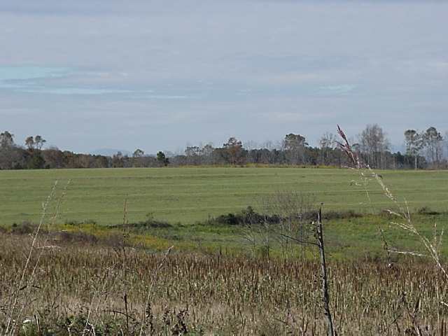 0 Return Church Road, Unit TRACT 5 Seneca, SC 29678 - Photo 3 of 3 Gallery Image 3