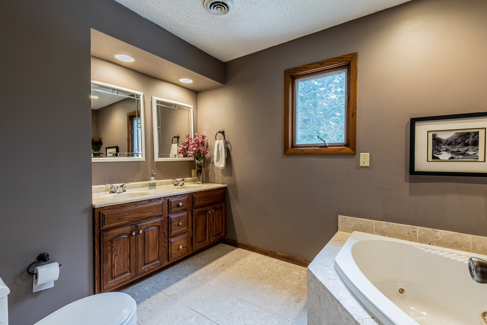 1000 Timber Ridge Road Princeton, IL 61356 - Photo 31 of 55 a bathroom with a tub sink and mirror