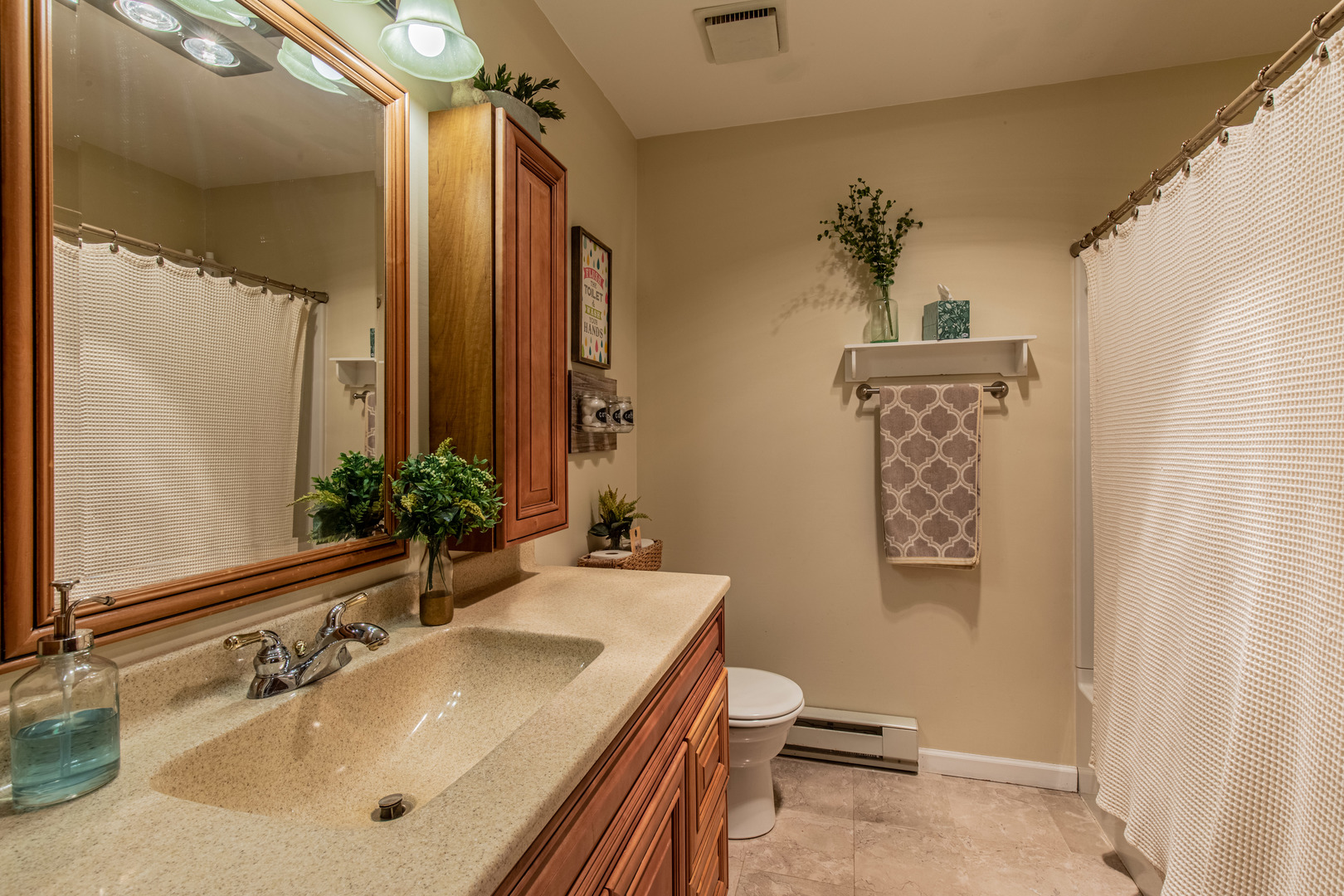 1000 Timber Ridge Road Princeton, IL 61356 - Photo 36 of 55 a bathroom with a sink a toilet and mirror