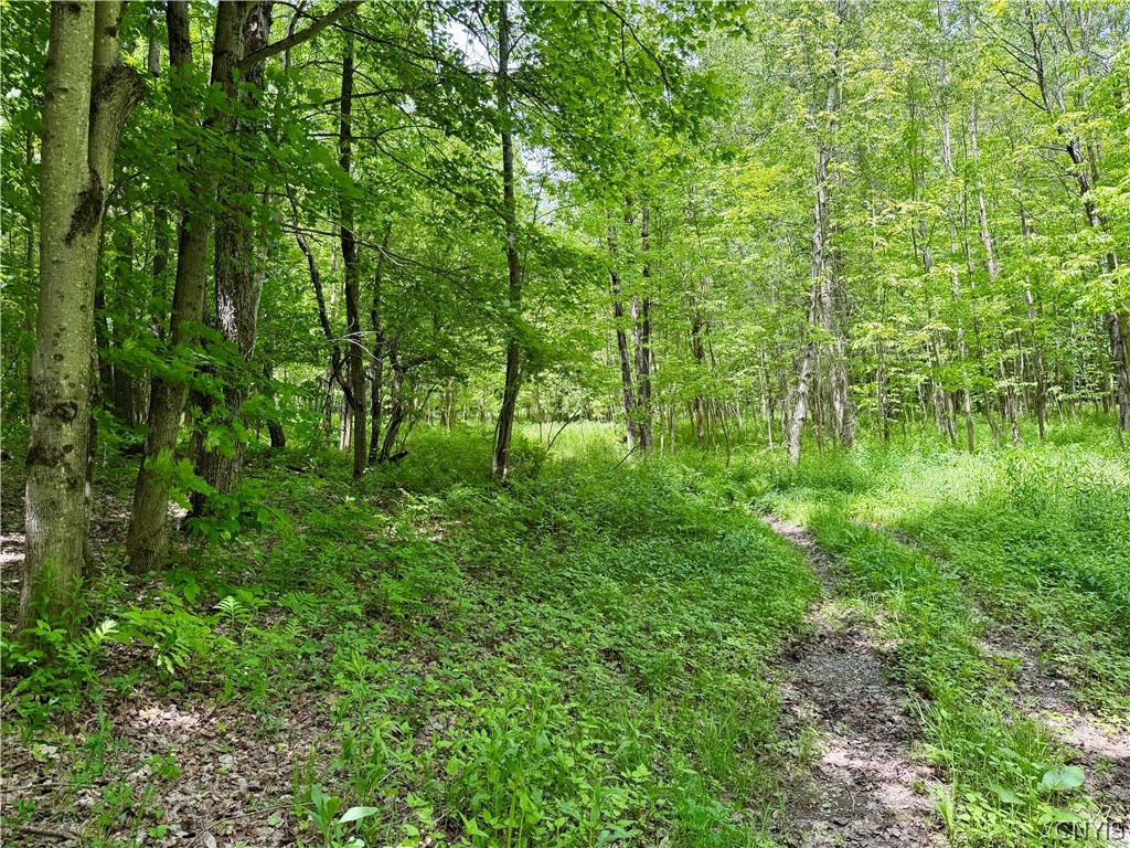 6229 Isenecker Road Leyden, NY 13309 - Photo 40 of 44