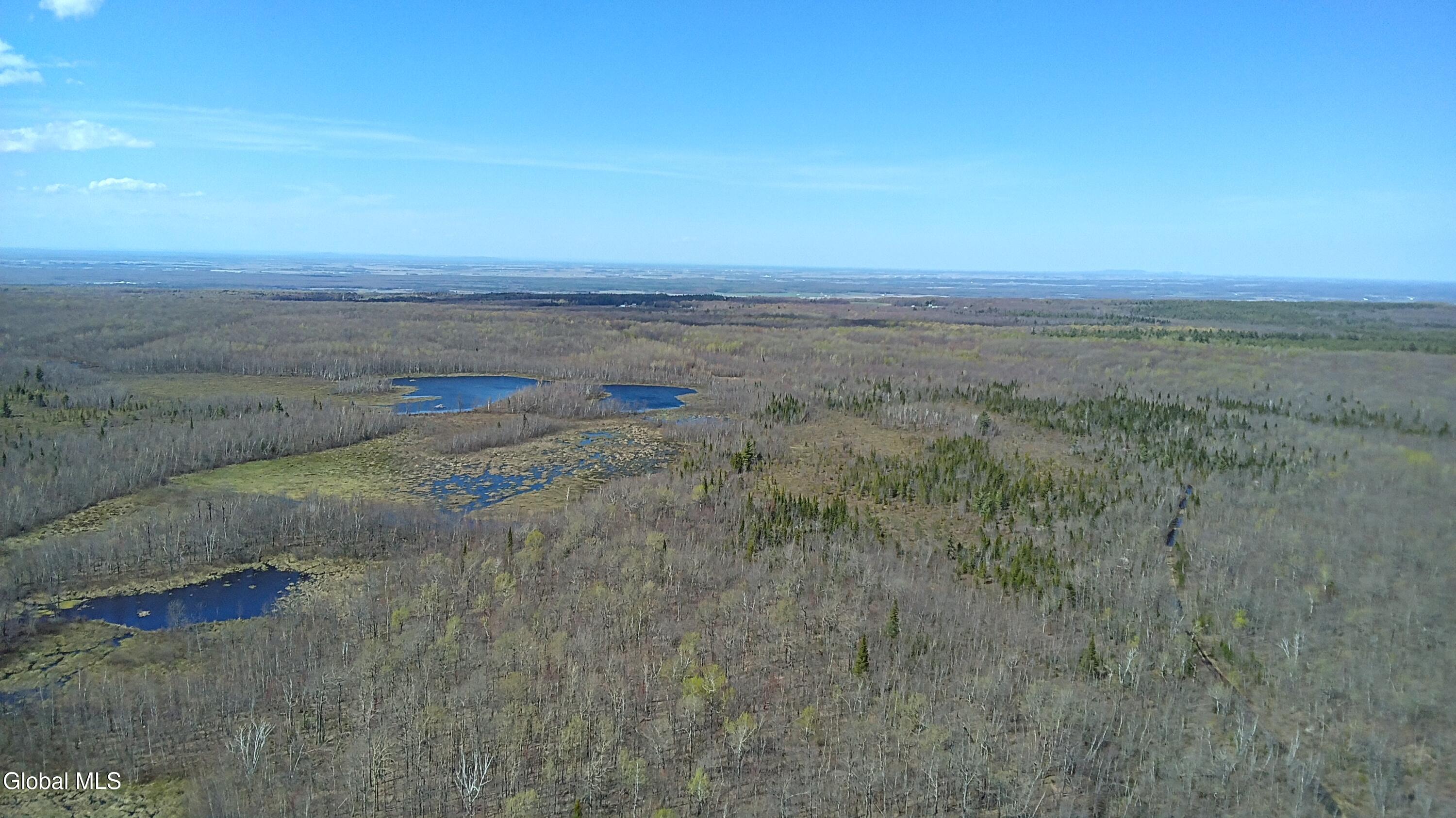 811 Drown Road Mooers, NY 12935 - Photo 12 of 42 IMG_4124