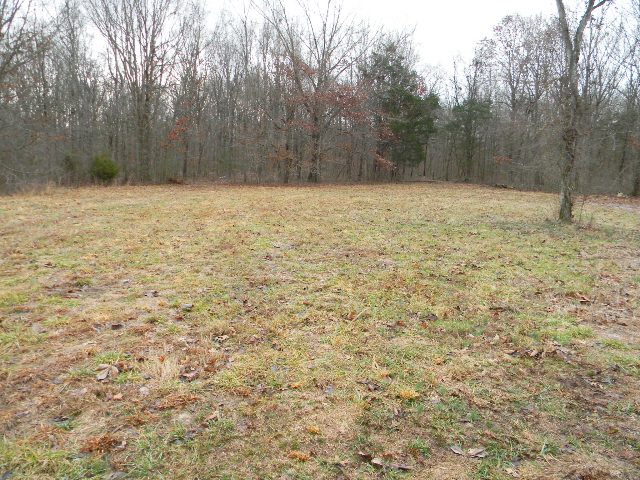 121 Fly Road Shelbyville, TN 37160 - Photo 9 of 16 Gallery Image 9