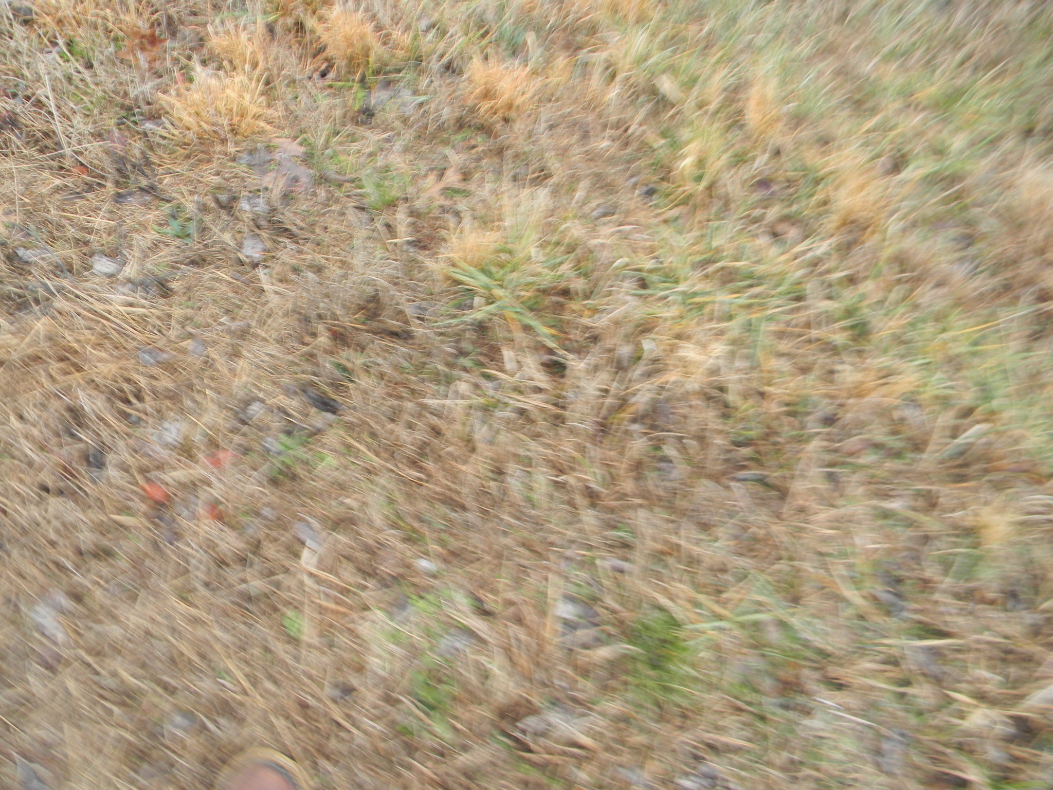 121 Fly Road Shelbyville, TN 37160 - Photo 10 of 16 Gallery Image 10