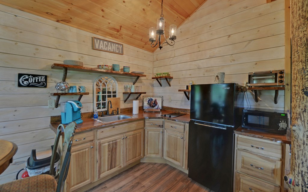 315 Call-Wright Road Ellijay, GA 30540 - Photo 11 of 33 Gallery Image 11