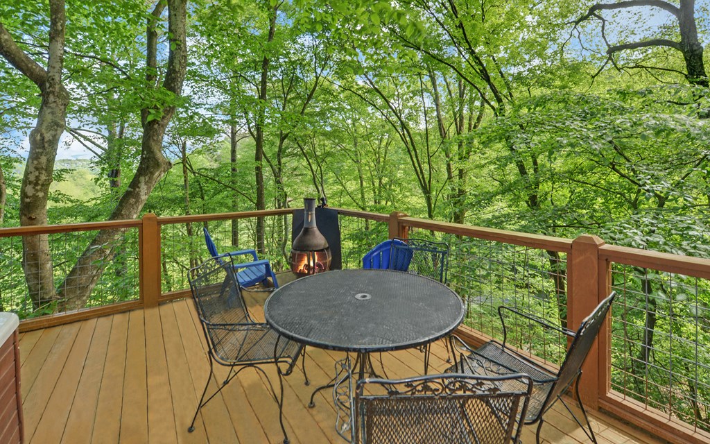 315 Call-Wright Road Ellijay, GA 30540 - Photo 25 of 33 Gallery Image 25