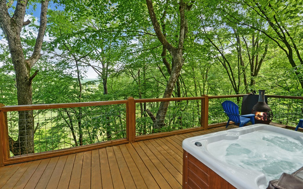 315 Call-Wright Road Ellijay, GA 30540 - Photo 26 of 33 Gallery Image 26