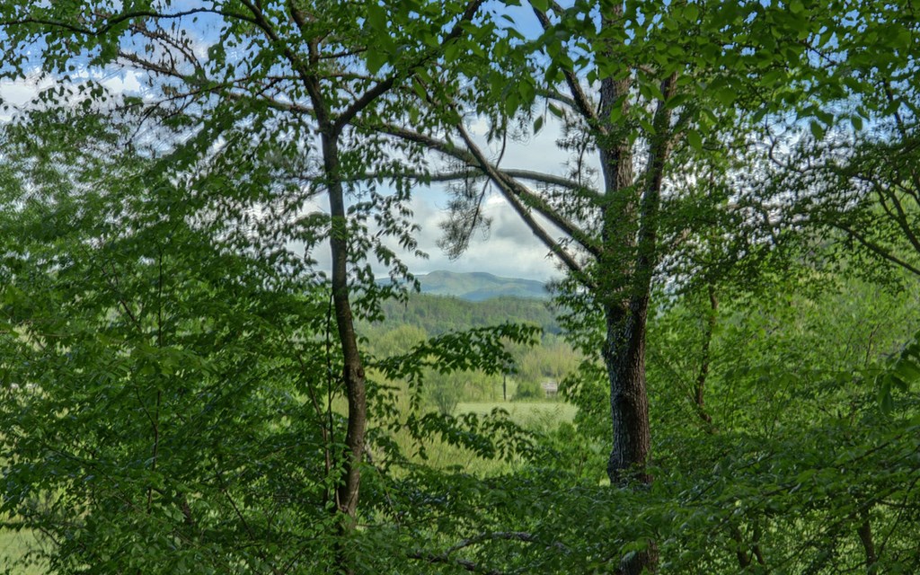 315 Call-Wright Road Ellijay, GA 30540 - Photo 28 of 33 Gallery Image 28