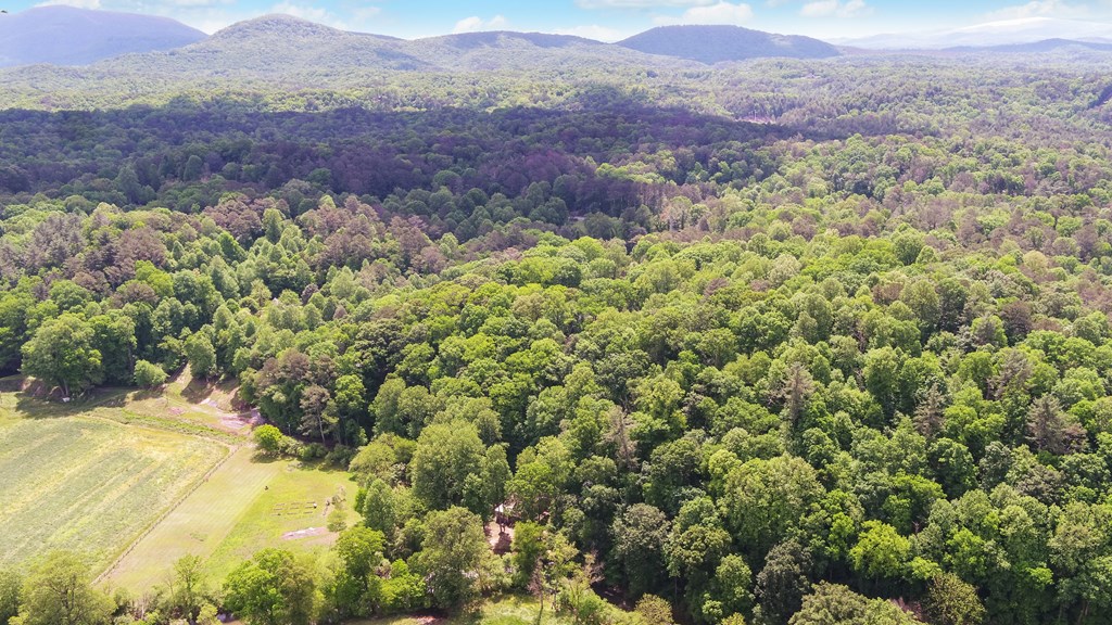 315 Call-Wright Road Ellijay, GA 30540 - Photo 29 of 33 Gallery Image 29