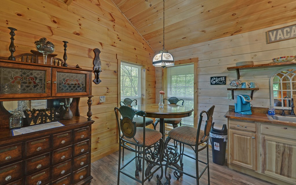315 Call-Wright Road Ellijay, GA 30540 - Photo 9 of 33 Gallery Image 9