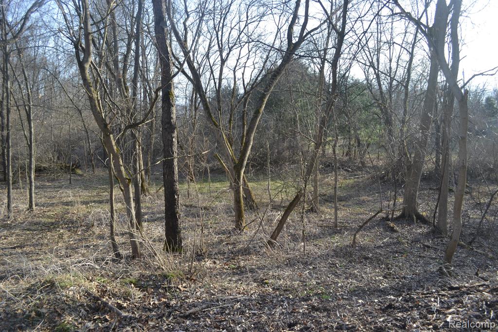 1590 East Rattalee Lake Road Holly, MI 48442 - Photo 4 of 11