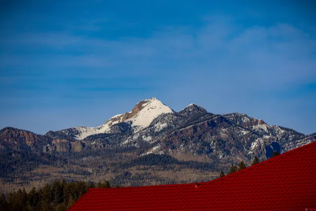 a bed sitting in a middle of a field