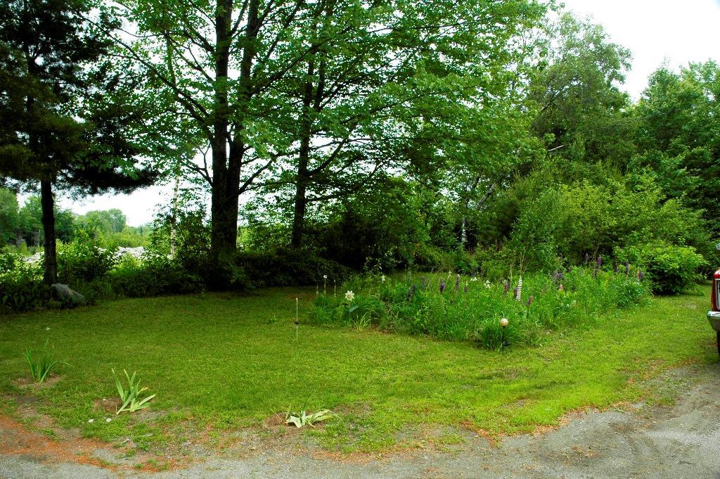 27 Tropical Fish Road Canaan, ME 04924 - Photo 9 of 12 Yard and Gardens