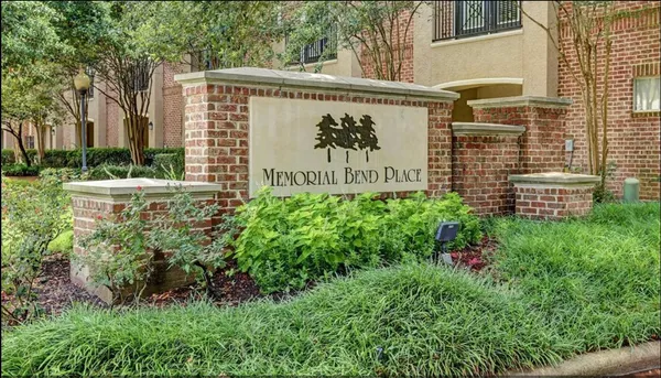 a view of a yard with plants and trees