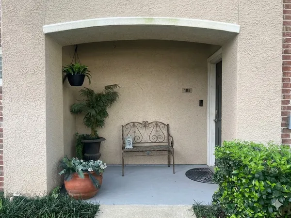 a house view with a potted plant