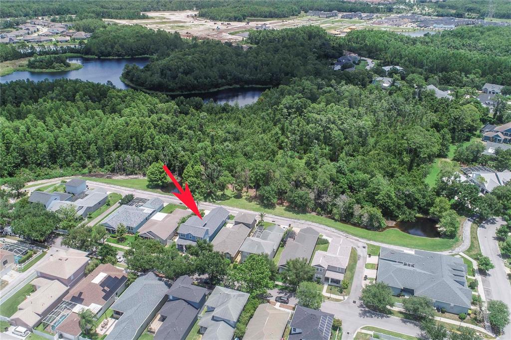3746 Dogtrot Street New Port Richey, FL 34655 - Photo 44 of 50