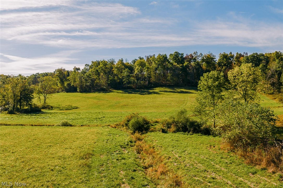 15 Glecoe Road Southwest Carrollton, OH 44615 - Photo 21 of 50 View of nature featuring rural landscape