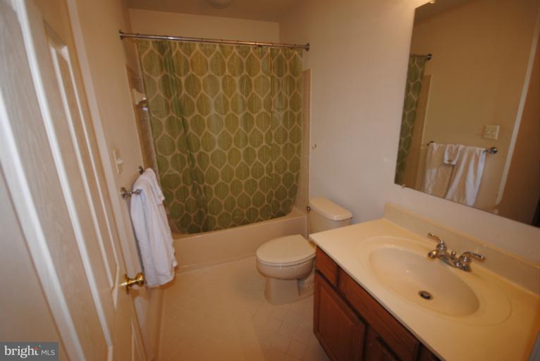 20334 Cliftons Point Street Sterling, VA 20165 - Photo 23 of 30 a bathroom with a sink a toilet and shower curtain