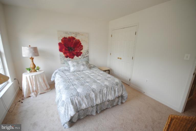20334 Cliftons Point Street Sterling, VA 20165 - Photo 29 of 30 a bedroom with a bed and a chandelier