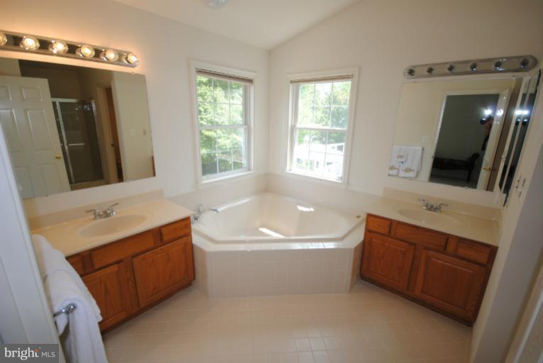 20334 Cliftons Point Street Sterling, VA 20165 - Photo 5 of 30 a bathroom with a bathtub shower sink and mirror