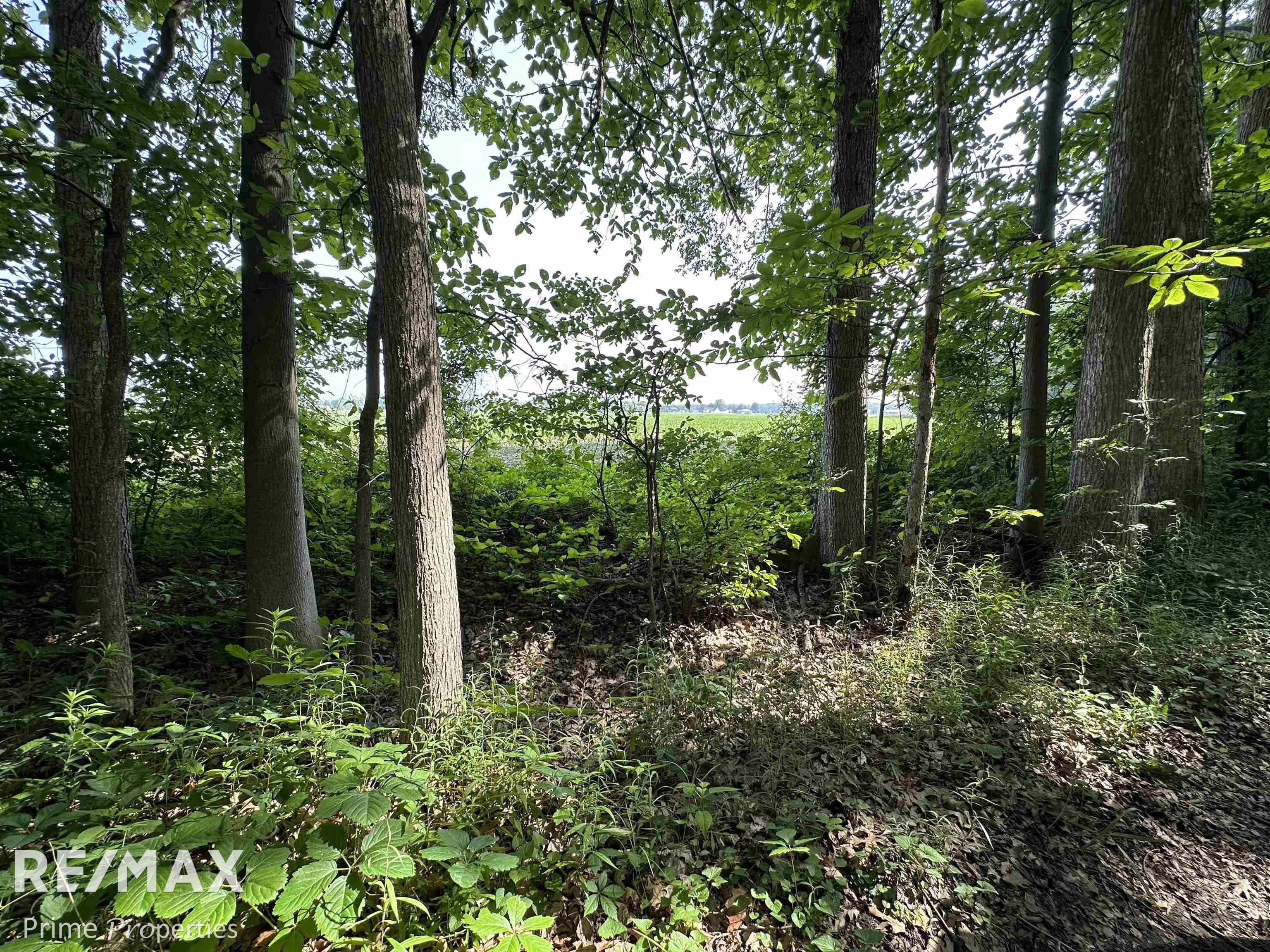 11515 Gera Road Birch Run, MI 48415 - Photo 84 of 96