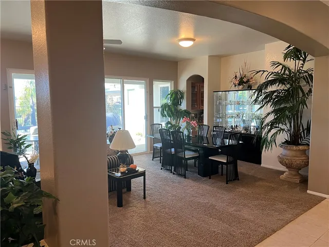 a living room with furniture flowerpot and a potted plant